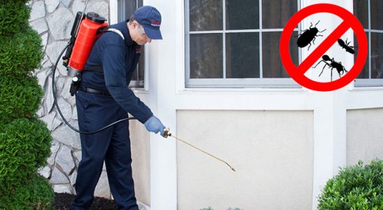 Karakoçan Karınca İlaçlama böcek ilaçlama ve haşere kontrolü — ilaclama-tr.com